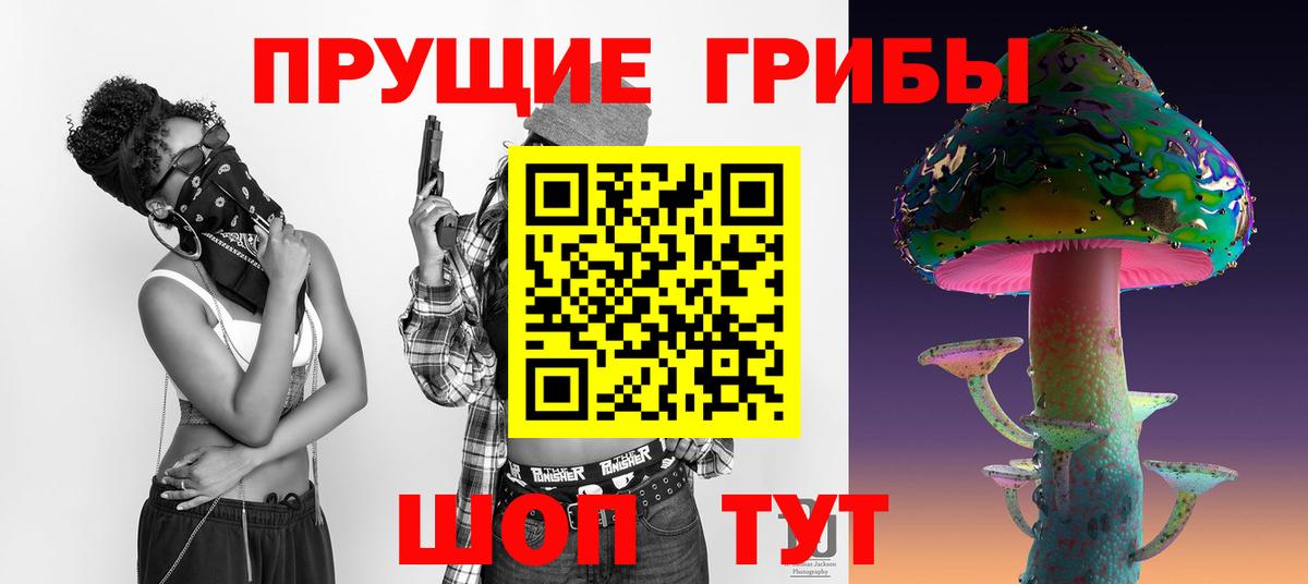 Королёв  Галлюциногенные грибы мицелий  Вход с VPN 
